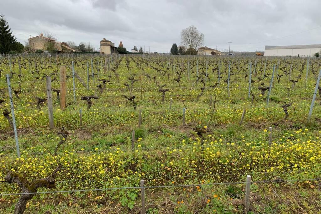 Chateau Roseyrol Proche Saint-Emilion Dış mekan fotoğraf