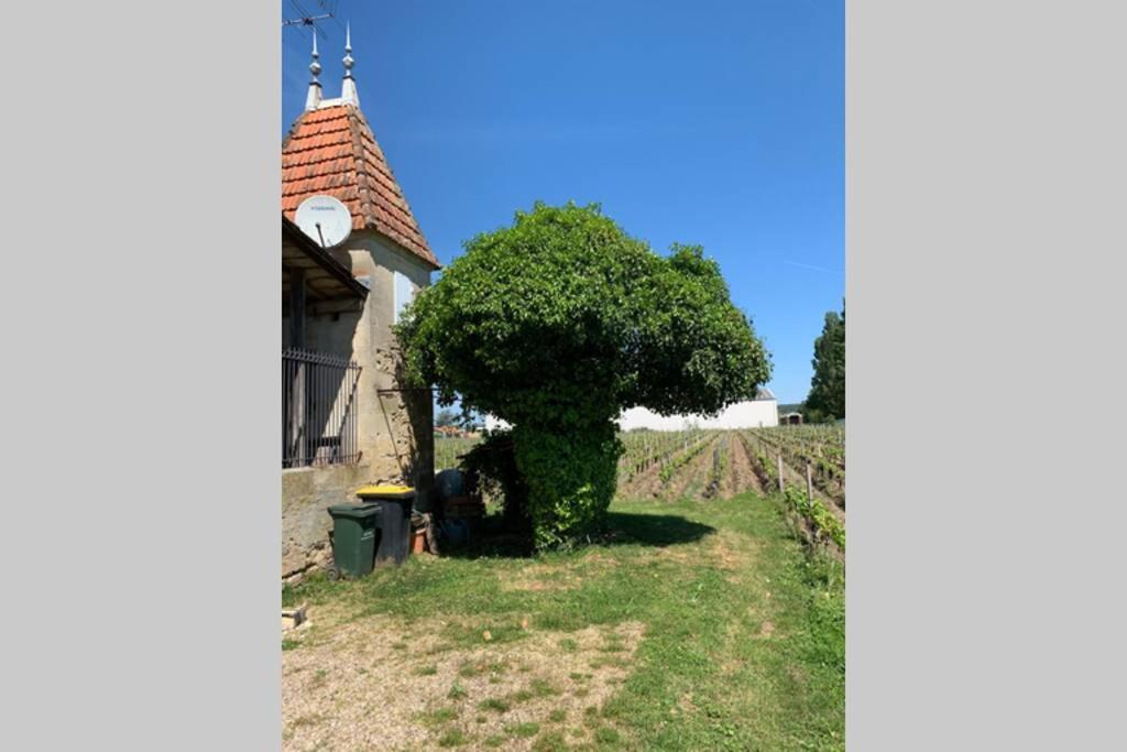 Chateau Roseyrol Proche Saint-Emilion Dış mekan fotoğraf