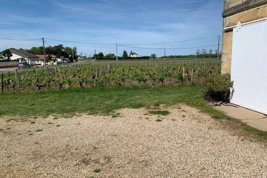 Chateau Roseyrol Proche Saint-Emilion Dış mekan fotoğraf